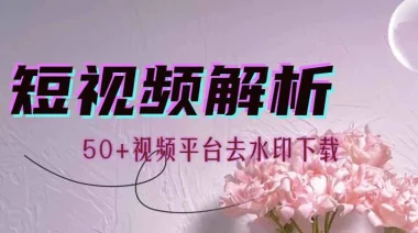 视频解析机器人_解锁VIP版（支持50+视频平台去水印）-网赚库-一个很随意的人
